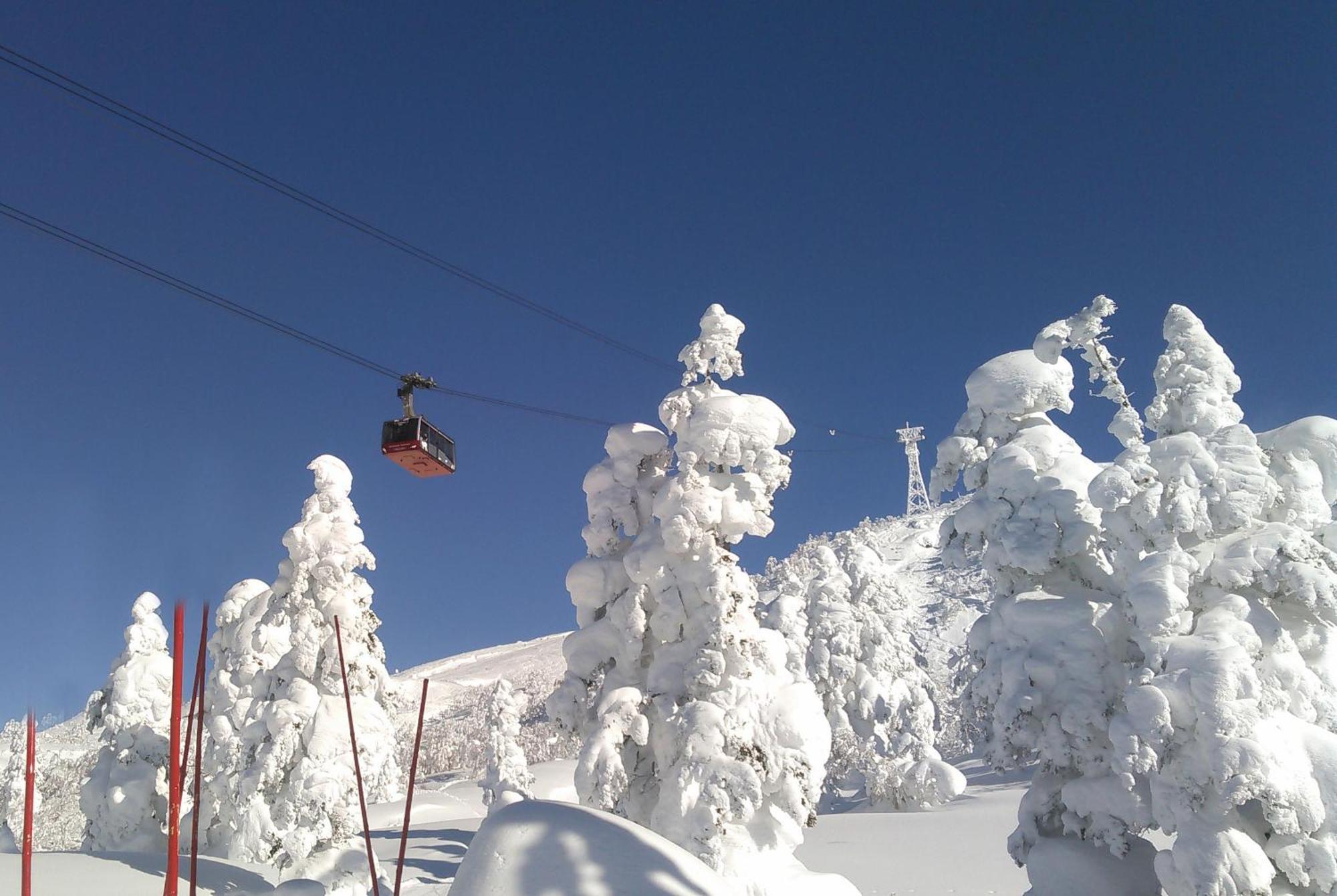 Higashikawa Asahidake Onsen Hotel Bear Monte Экстерьер фото