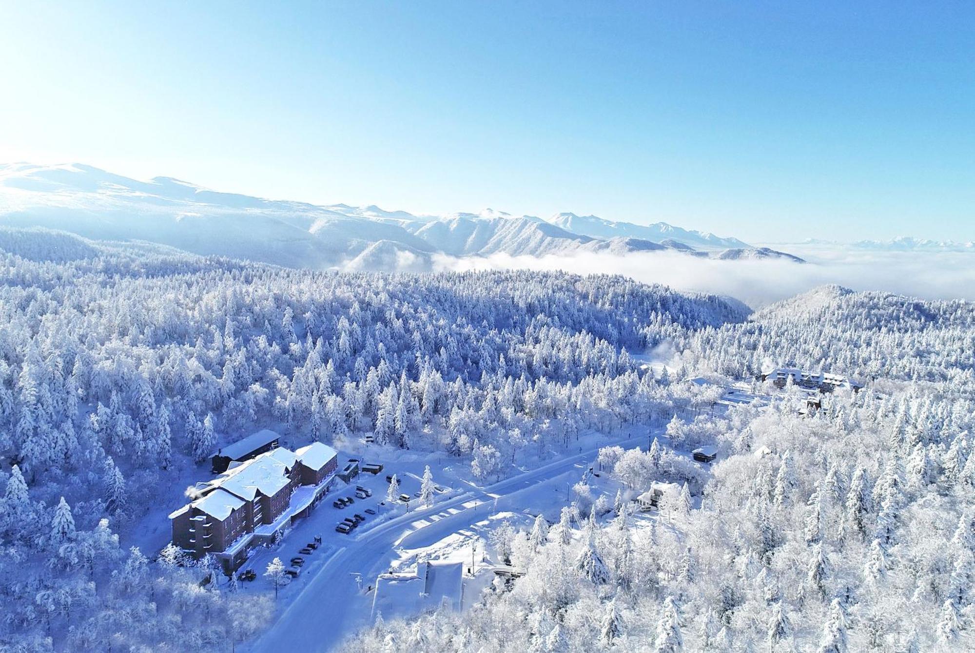 Higashikawa Asahidake Onsen Hotel Bear Monte Экстерьер фото
